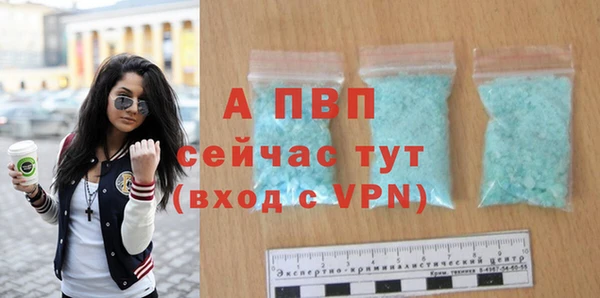 стафф Алексин