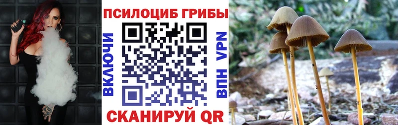 Псилоцибиновые грибы Psilocybine cubensis  Богородицк 